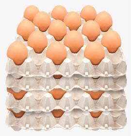 Huevos de doble yema