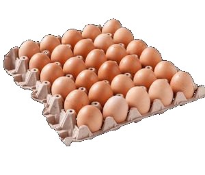 Huevos gruesos