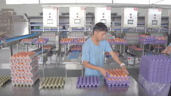 Certificación BPA