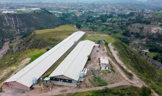 Granja Píllaro