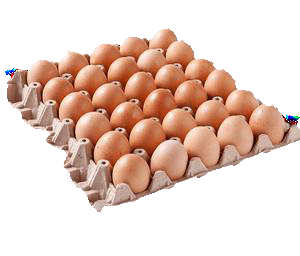 Huevos Gruesos