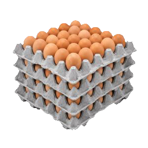 Huevos Mediano Grueso