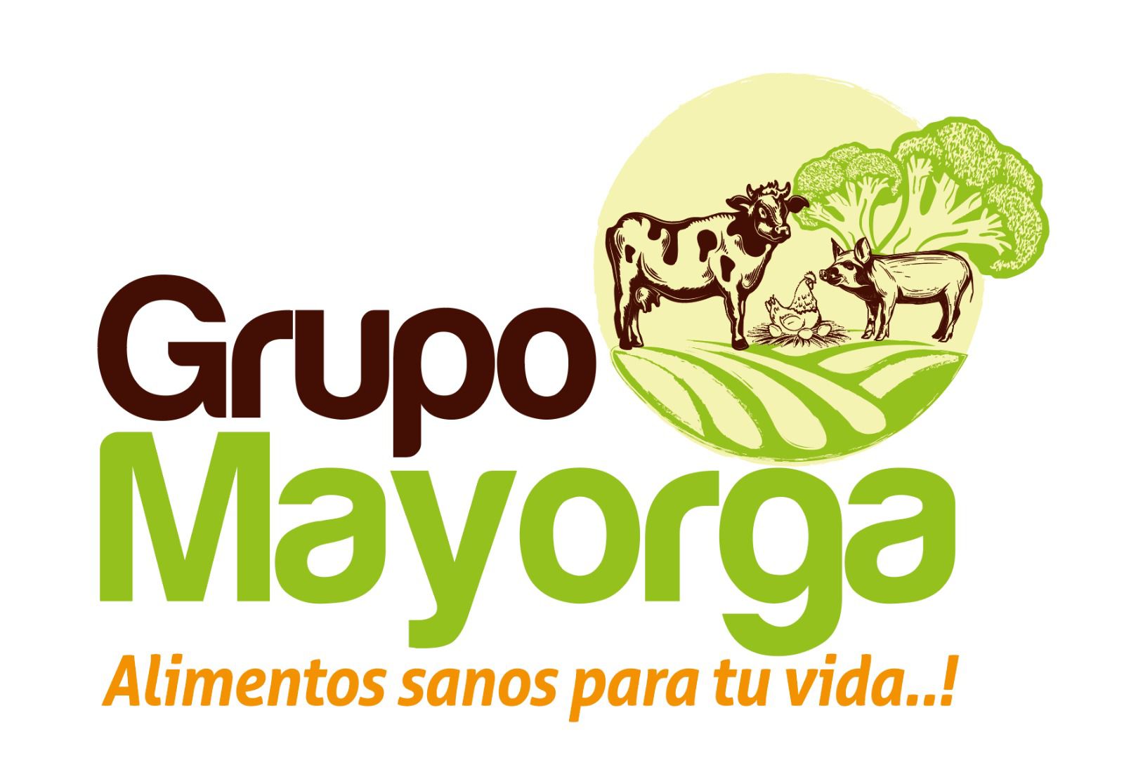 :: Grupo Mayorga