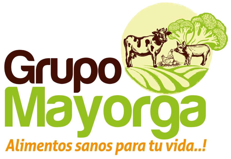 :: Grupo Mayorga