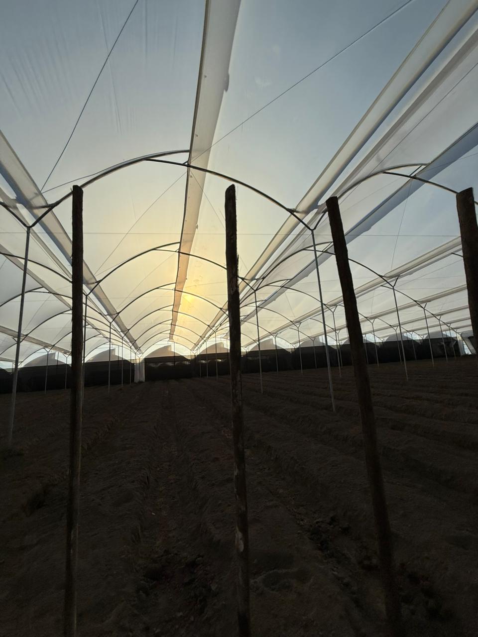 WhatsApp Image 2025-09-30 at 12.18.53 (1)